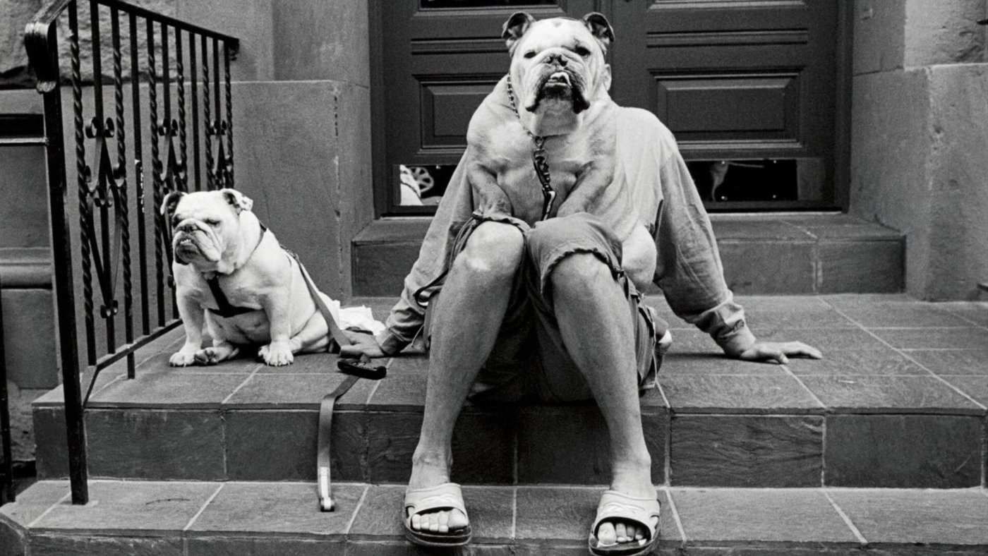 elliott erwitt dogs