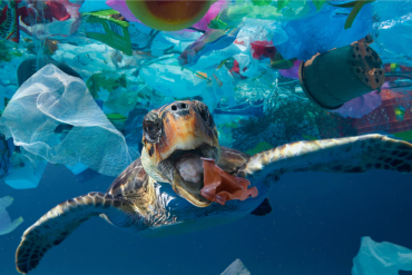 fondali oceanici inquinamento