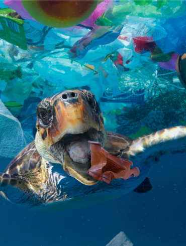 fondali oceanici inquinamento