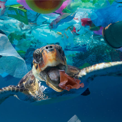 fondali oceanici inquinamento