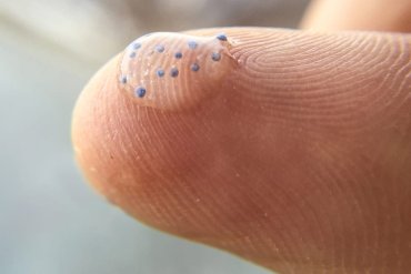 microplastiche nell'organismo