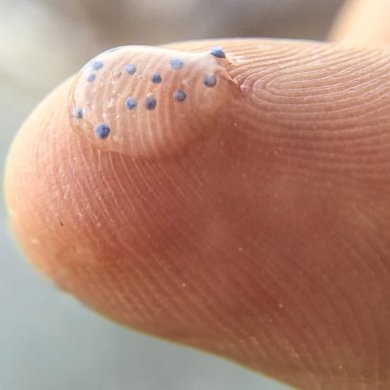 microplastiche nell'organismo