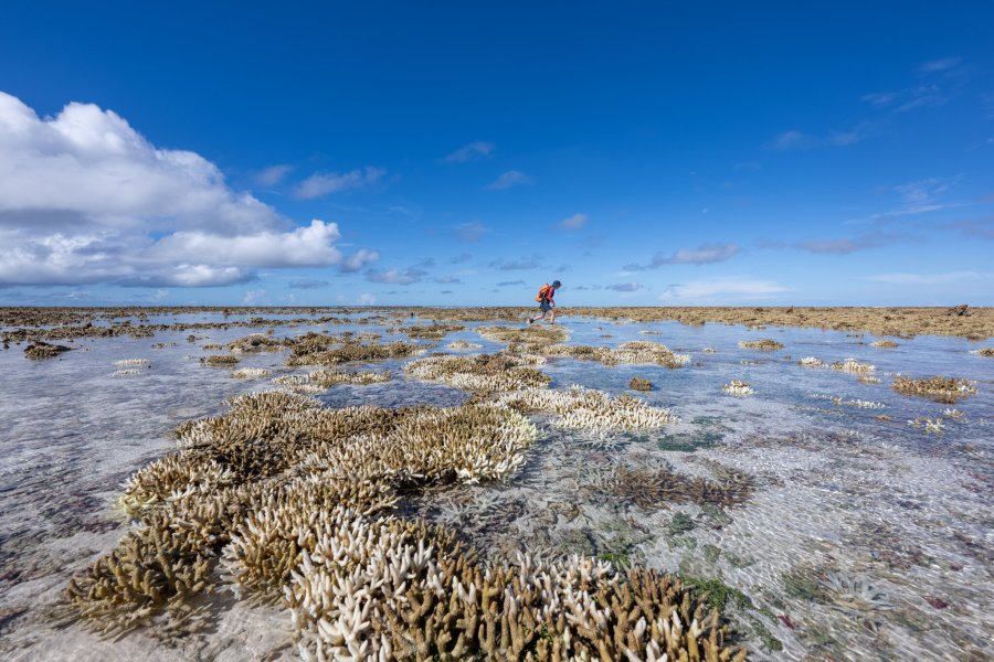 maldive riscaldamento globale