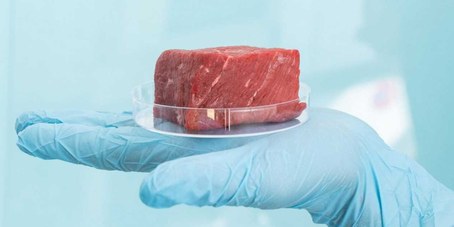 carne coltivata singapore