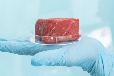 carne coltivata singapore