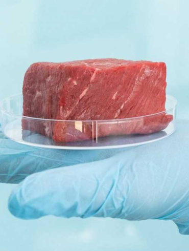 carne coltivata singapore