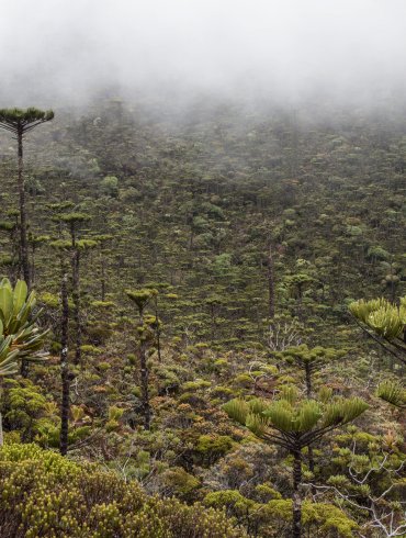 nuova caledonia nichel