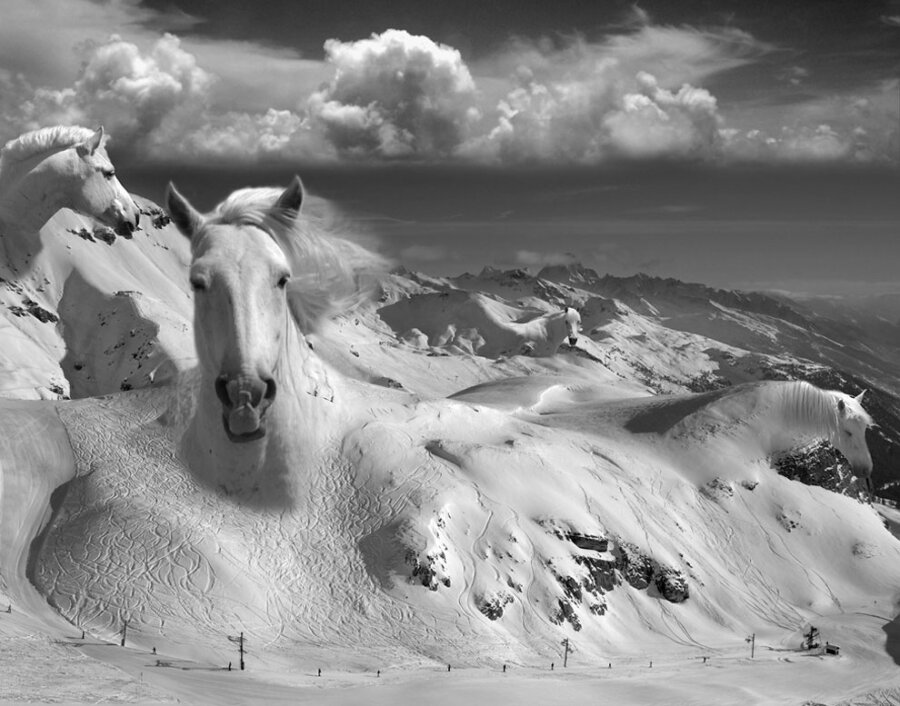 Thomas Barbèy