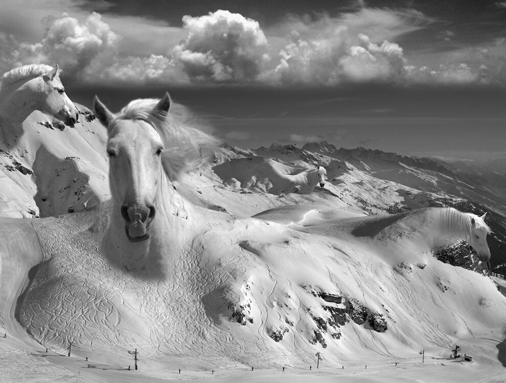 Thomas Barbèy