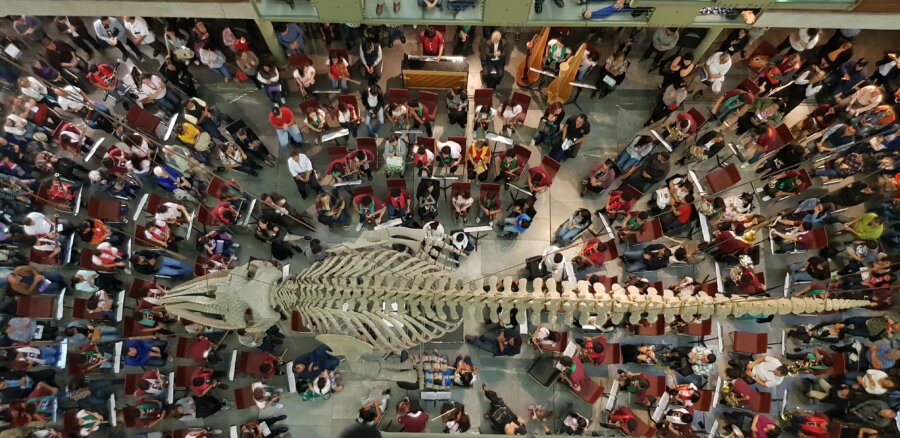 balena Biblioteca Vasconcelos