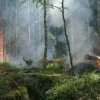 incendi foreste