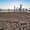 siccità