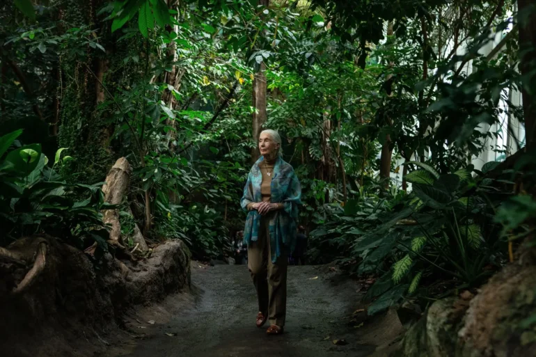 Jane Goodall