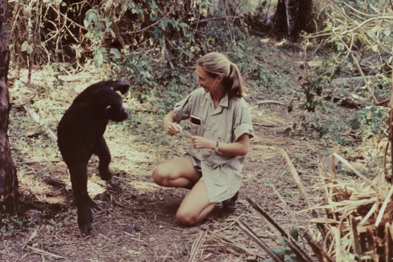Jane Goodall