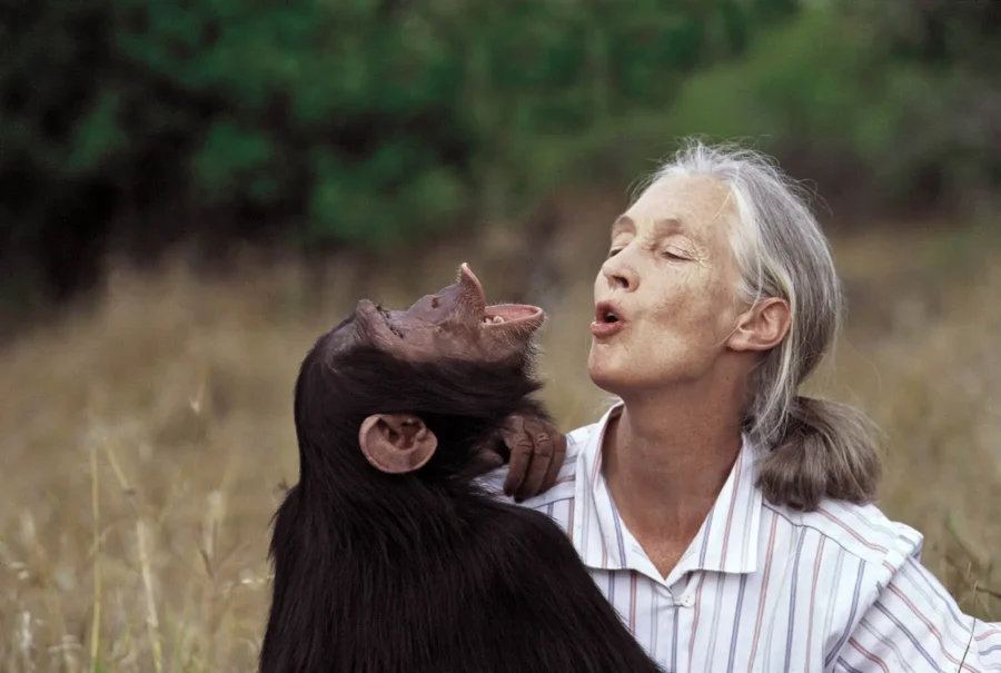 Jane Goodall