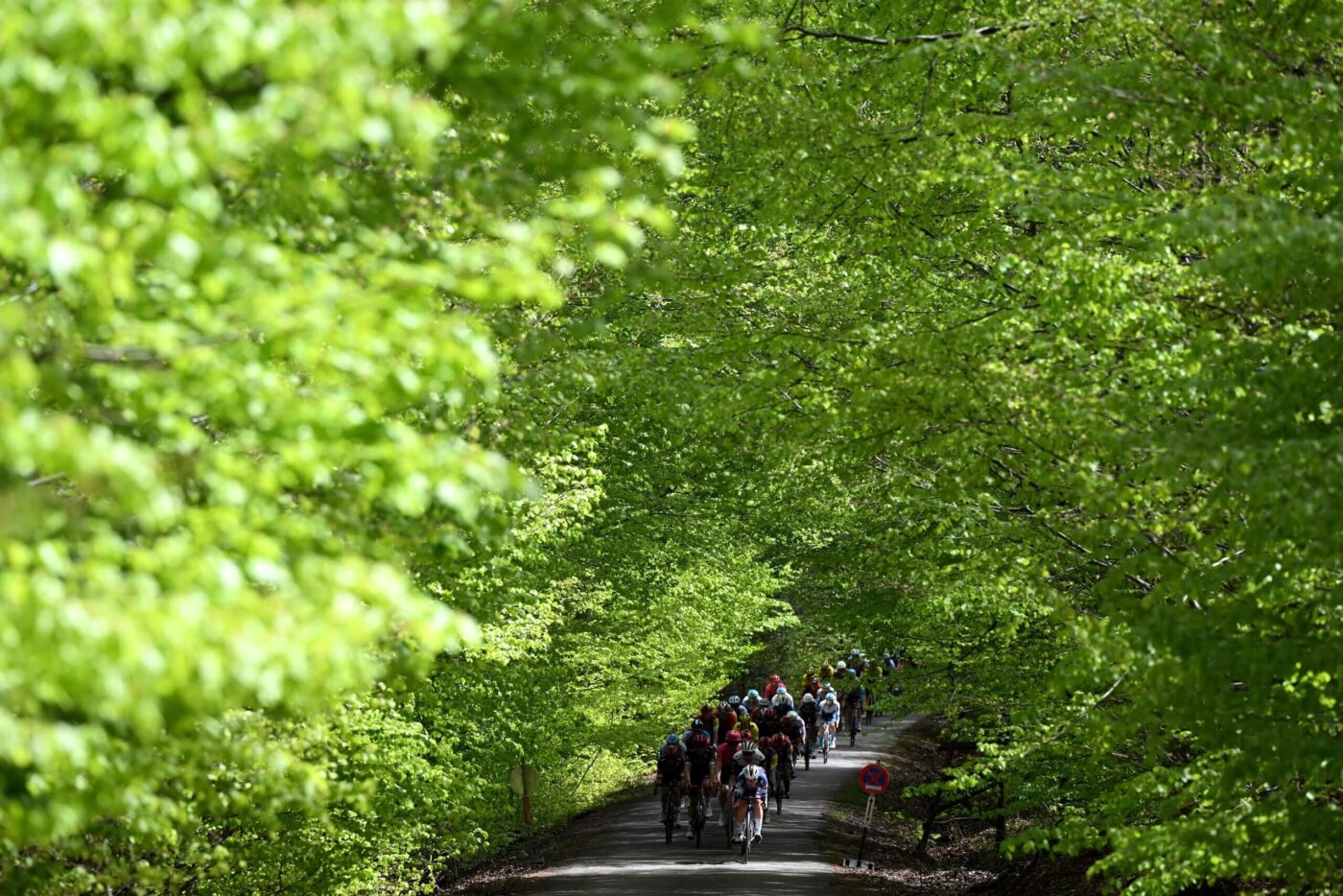 liegi-bastogne-liegi