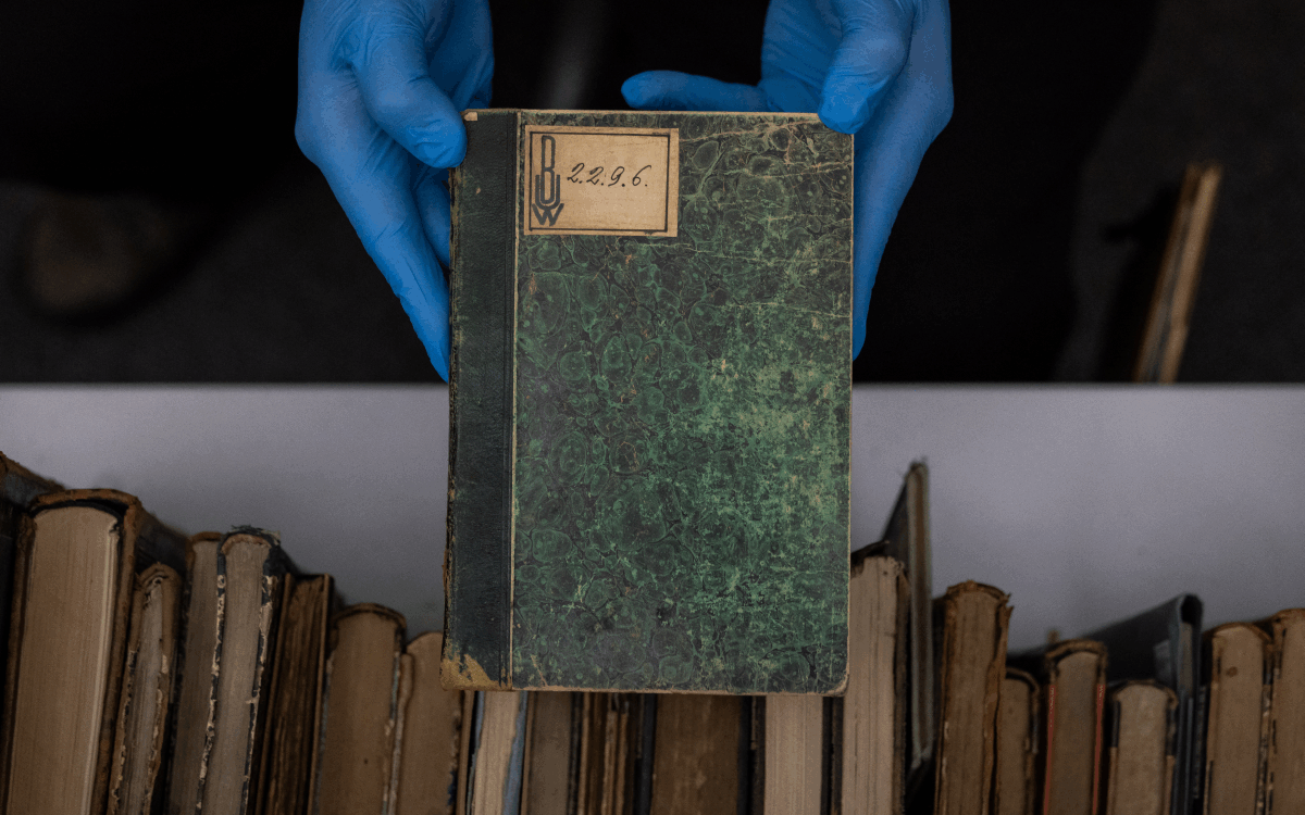 pushkin libri rubati