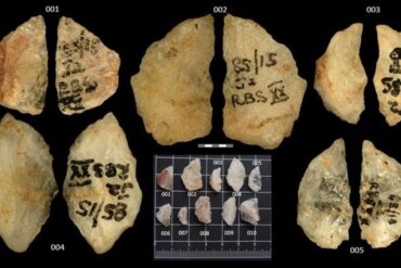 veleno 60mila anni fa