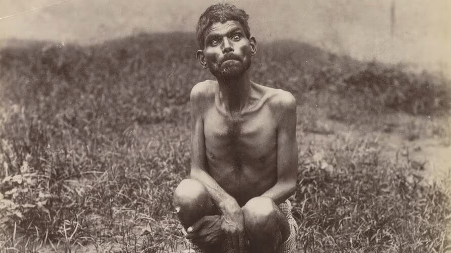 Dina Sanichar Mowgli