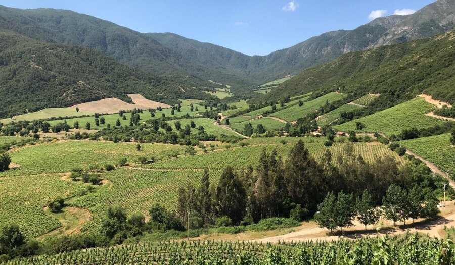 Valle di Colchagua, Cile