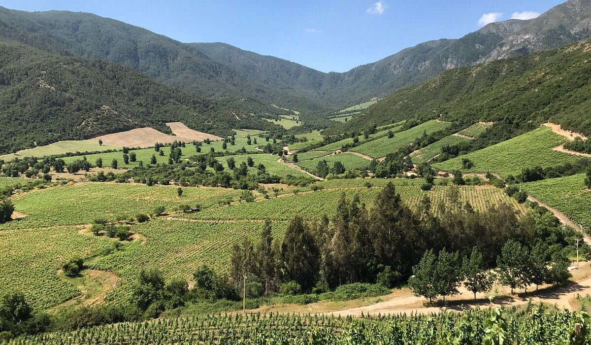 Valle di Colchagua, Cile