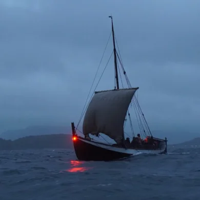 jarrett vichinghi rotte