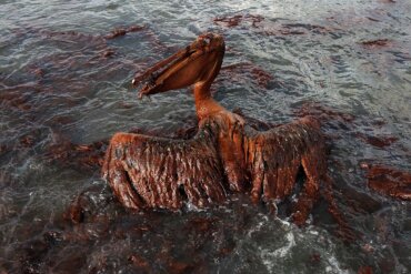 il disastro della Deepwater Horizon