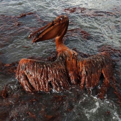 il disastro della Deepwater Horizon